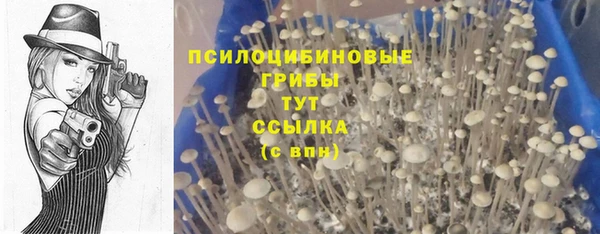 не бодяженный Вяземский