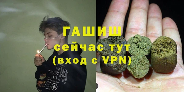 твердый Бородино