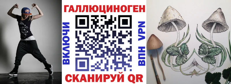 shop какой сайт Дмитровск Галлюциногенные грибы мицелий